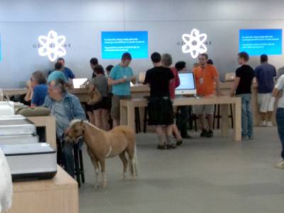 Необычные посетители в Apple Store