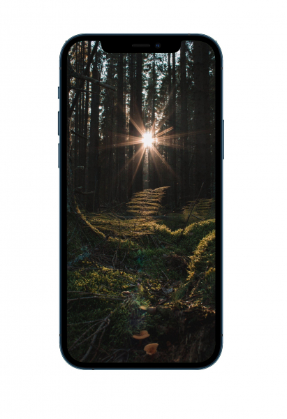 10 ярких обоев iPhone с горами и лесами