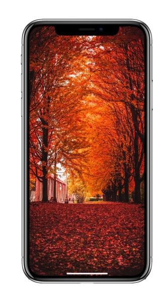10 красочных осенних обоев iPhone в 4K