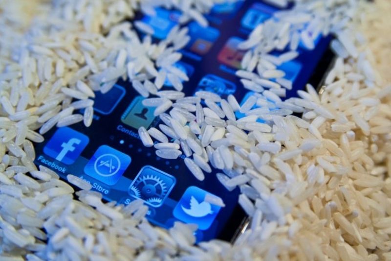 Айфон упал в воду — поможет ли рис? Неожиданный ответ экспертов