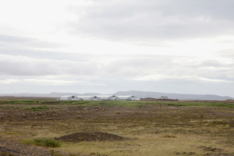 Одна криптовалютная ферма потребляет больше электричества, чем все дома в Исландии. Как она выглядит