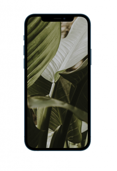 10 просто красивых обоев iPhone с природой