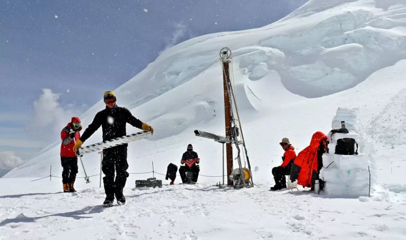 12 неизвестных животных найдены под льдом в Антарктиде. Учёные опустили туда GoPro и удивились