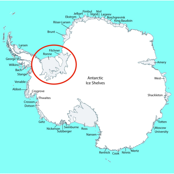 12 неизвестных животных найдены под льдом в Антарктиде. Учёные опустили туда GoPro и удивились