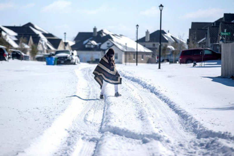 В Техасе наступил ледяной апокалипсис. Люди замерзают, но спасают черепах