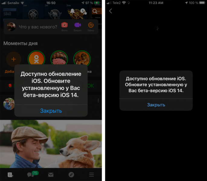 Доступно обновление iOS: пользователи жалуются на новый баг iOS 14 beta 