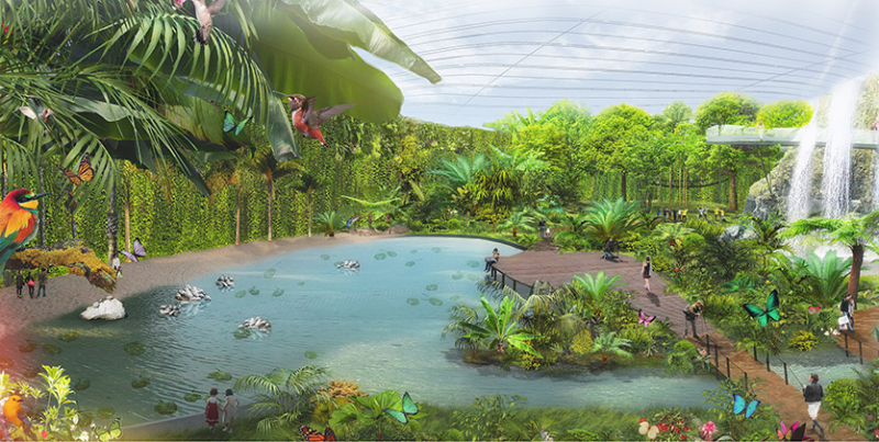 Во Франции решили построить (!) амазонские джунгли за 72 миллиона евро. Гринпис в шоке